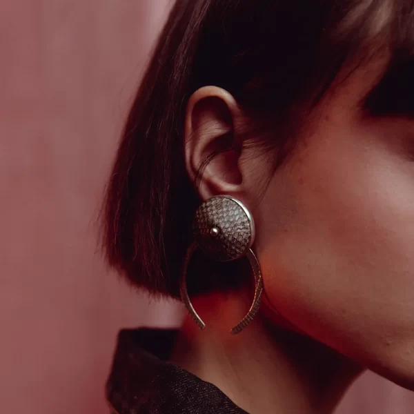 Horseshoe Earrings