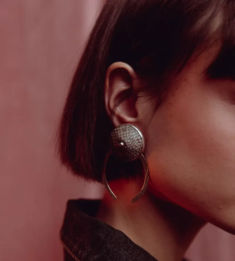 Horseshoe Earrings